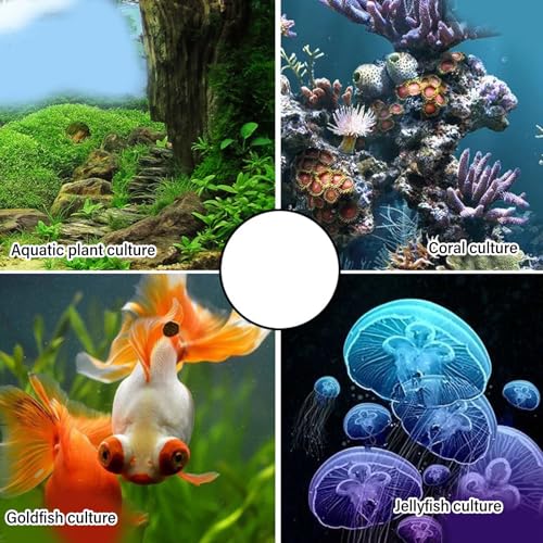 Walfront Enfriador de Acuario Control Inteligente de Temperatura Bajo Ruido para Tanque de Peces Hidropónicos