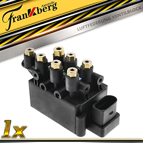 Frankberg Sospensione ad aria, unità valvola
