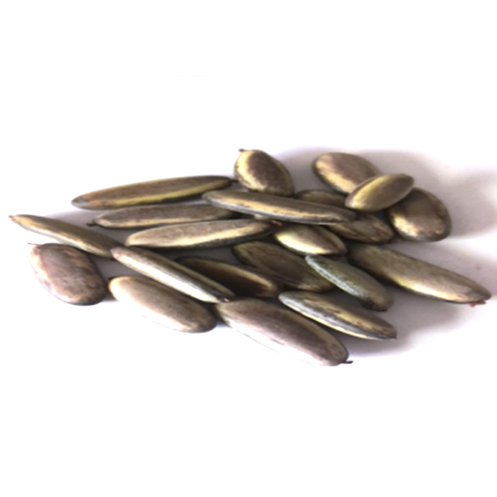 Buy Seed for Planting,15Pcs/Bag Delonix Decaryi Tree Seeds Rare