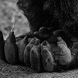 Good Christian Girls [Explicit]