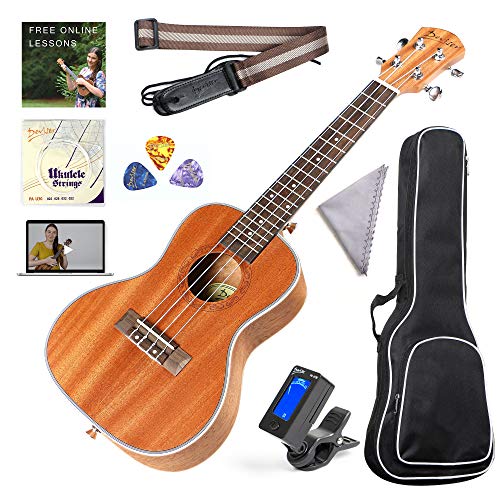 Top 10 Best Ukulele Brands For Beginners in February 2023