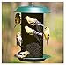 Magnum Nyjer Thistle Magnum Feeder, 5-Lb.