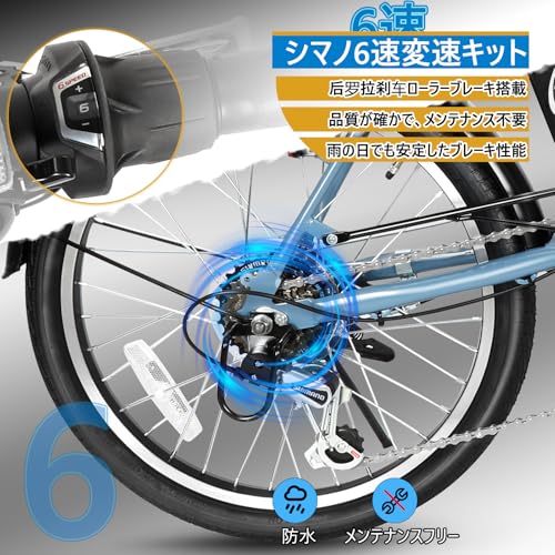 BRIGHT PALE 電動アシスト自転車 BRT-206-EB の商品画像 3