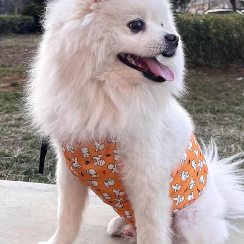 Collier rafraîchissant pour chiens - Cache-cou rafraîchissant pour chaton