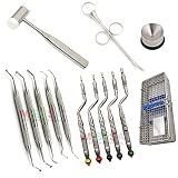 Medesy Dental Implant Bone Graft Kit Concave Tip Osteotome Set with Mushroom Elevators and Mallet We