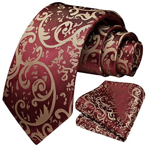 Image of HISDERN Ties for Men Paisley Tie and Pocket Square Woven Classic Floral Mens Ties Handkerchief Set Wedding Party Necktie