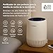 Imagen de Bosch Air 1000 Purificador de Aire