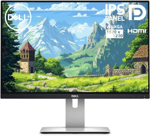 DELL 24インチモニター – 優れた視覚体験を提供(残り5台、5台売却 Amazon.co.jp: Dell Technologies P2425H 23.8インチ モニタ