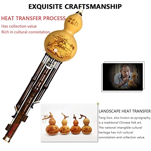 Professionele Hulusi, Kalebasfluit Met Lederen Doos, Gift Kalebasfluit Etnische Muziekinstrument Voor Voor Student… - Image 2