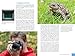 Canon EOS 90D: Das umfangreiche Praxisbuch zu Ihrer Kamera!