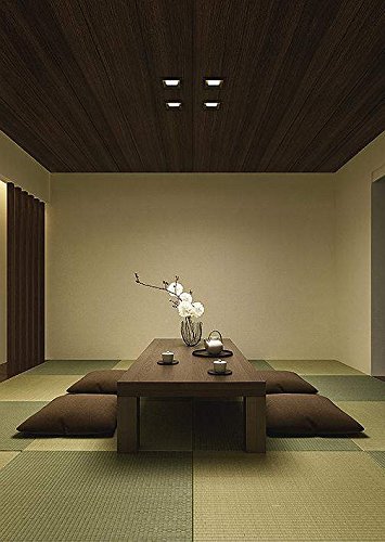 Amazon.co.jp: 大光電機（DAIKO） ダウンライト LED 8.5W 温白色