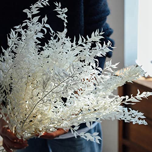 Ramo de Flores Preservadas Dried Ruscus 45 cm Blanco miniatura 4