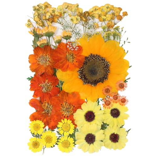 50 Pcs Dried Flowers for Resin,Real Dried Pressed Flowers Leaves Mixed Multiple Natural Kit for Christmas DIY Gift,Art Crafts,Candle, Soap Making, Nails Decor