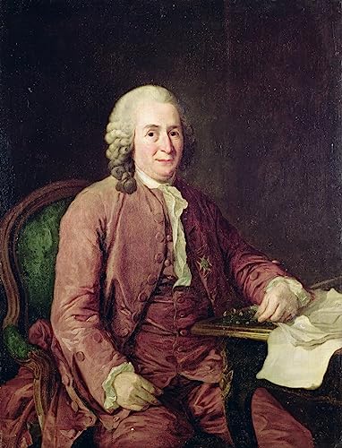 Impression Moderne Portrait Carl Von Linnaeus Roslin pour Décoration Murale Originale
