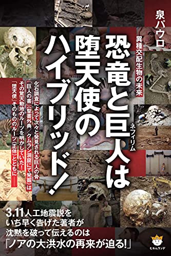 Amazon.co.jp: 泉 パウロ: 本、バイオグラフィー、最新アップデート
