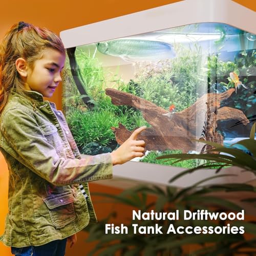 Image of Jorewood Natural Small Aquarium Driftwood for Fish Tanks & Reptile Terrariums - Safe Fish Tank Decorations, Unique Twisted Branches 10-Piece 2-4 Inch Low Tannin, Easy to Sink