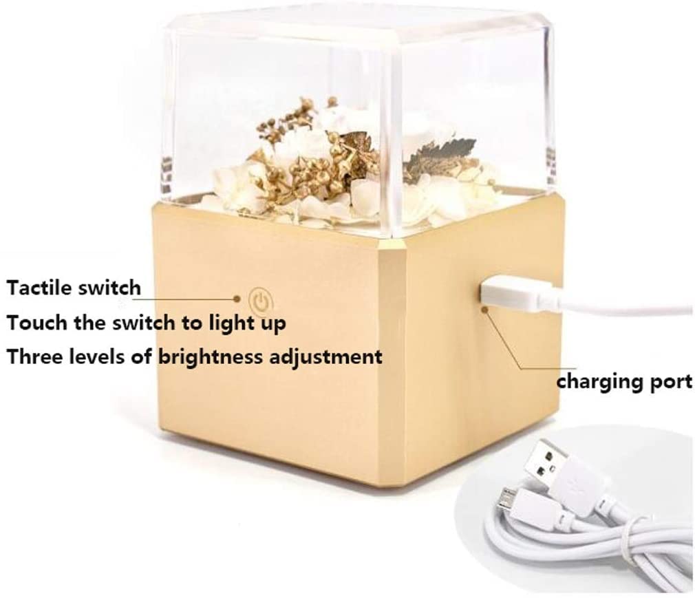 Scatola per Gioielli Scatola Portaoggetti Luminosa Touch Scatola Portaoggetti con Anello di Diamanti per Gioielli con Proposta Portatile Squisita Contenitore per Gioielli(G)