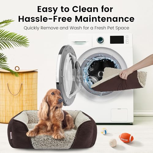 Miguel Washable Cat Beds for Indoor Cats with Removable Cushion, Easy to Wash Small Pet Sofa Bed with Side, Rectangle Bolster Kitten Bed Cuddle Puppy Bed, Anti-Slip Bottom, Lit Chat, Brown 51CM - Image 3
