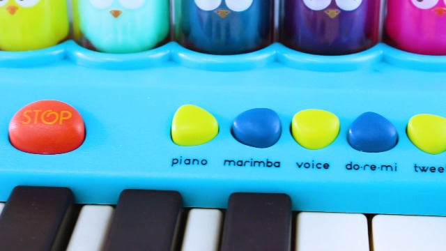 B. toys Hippo Pop Spielzeug-Tastatur Klavier