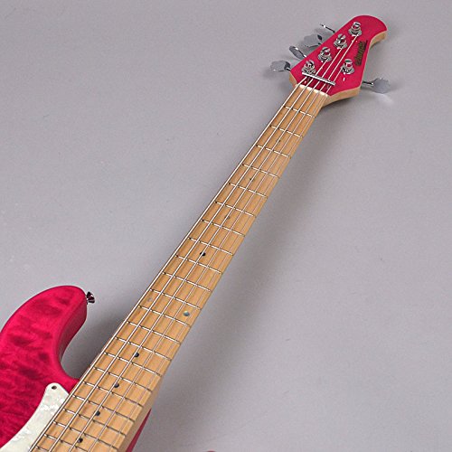 Amazon | EDWARDS E-Bardic STPI 5弦エレキベース/tetsuyaモデル 