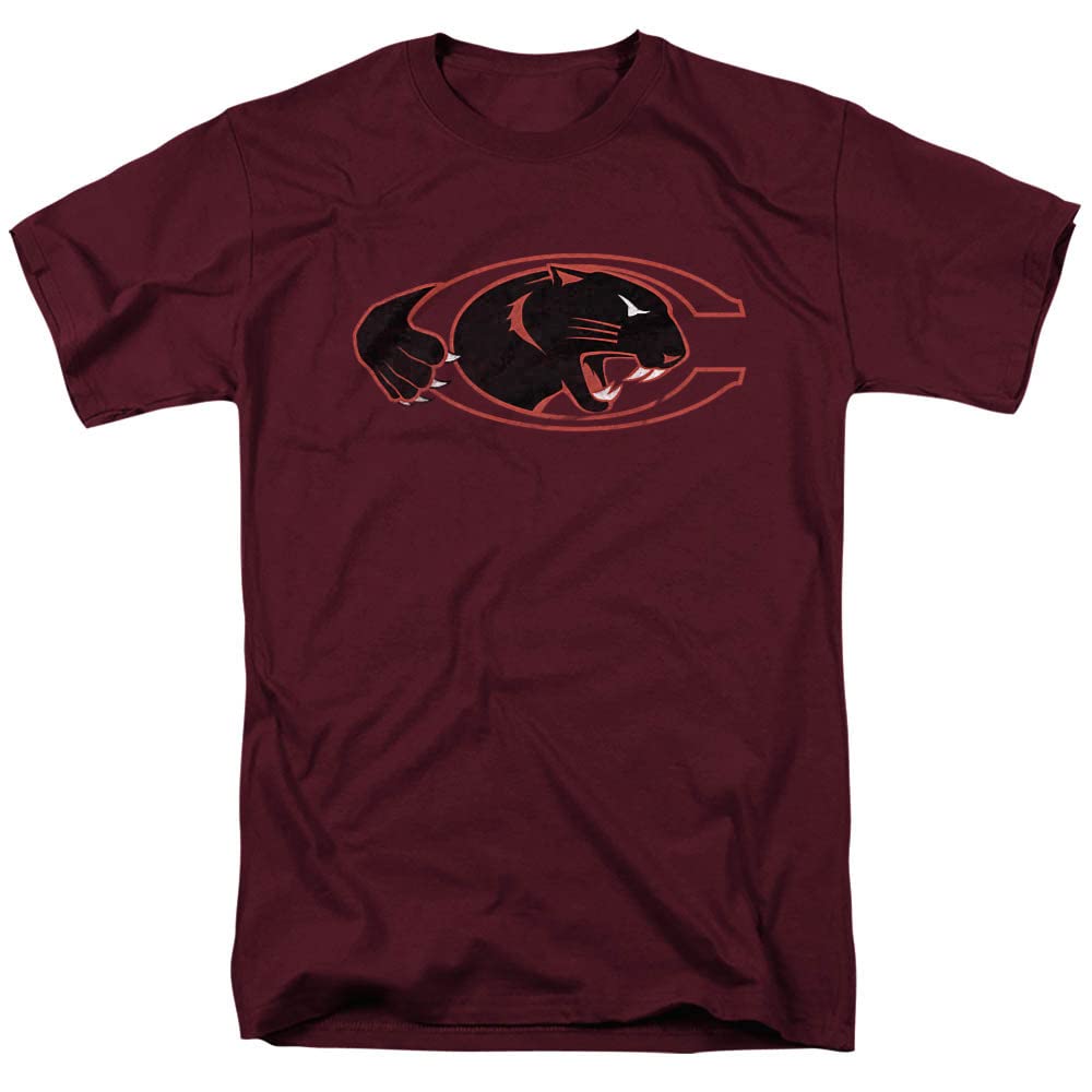 LOGOVISION Official Collegiate Distressed Primary Logo Adult T-Shirt Collection — view 53