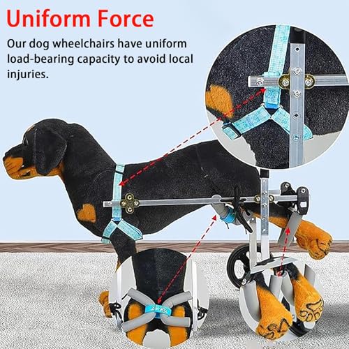 Silla de ruedas para perros con movilidad reducida y soporte ajustable de 4 ruedas 5