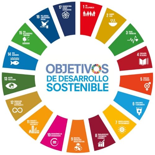 Desde la infancia, rumbo a la Agenda 2030. cover art