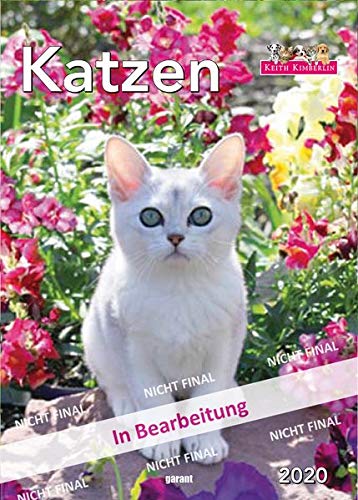 Keith Kimberlin Katzen 2020 Wochenkalender