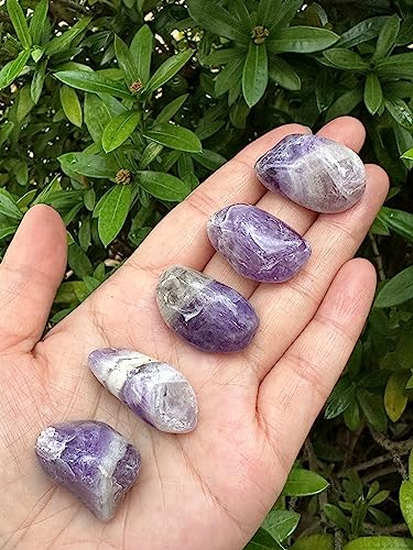 Image of 1 /2 LB Chevron Amethyst Tumbled Stones, Polished Chevron Amethyst Gemstone, Chevron Amethyst Healing Crystals (Chevron Amethyst)