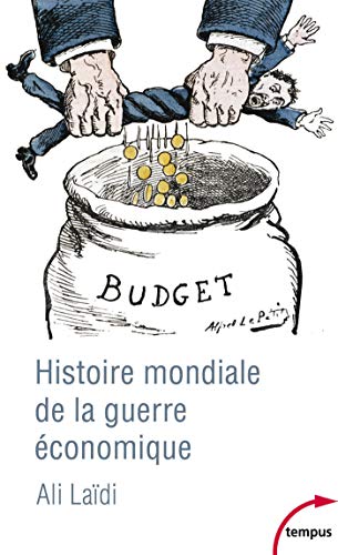 Télécharger Histoire mondiale de la guerre économique PDF Ebook En Ligne