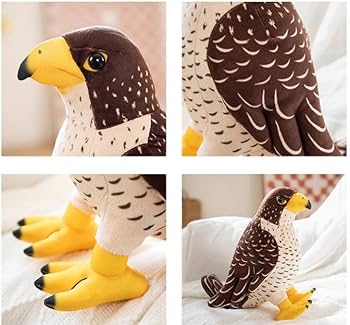 Amazon.co.jp: ハヤブサ 鳥 鷹 ぬいぐるみ 人形ギフト リアル