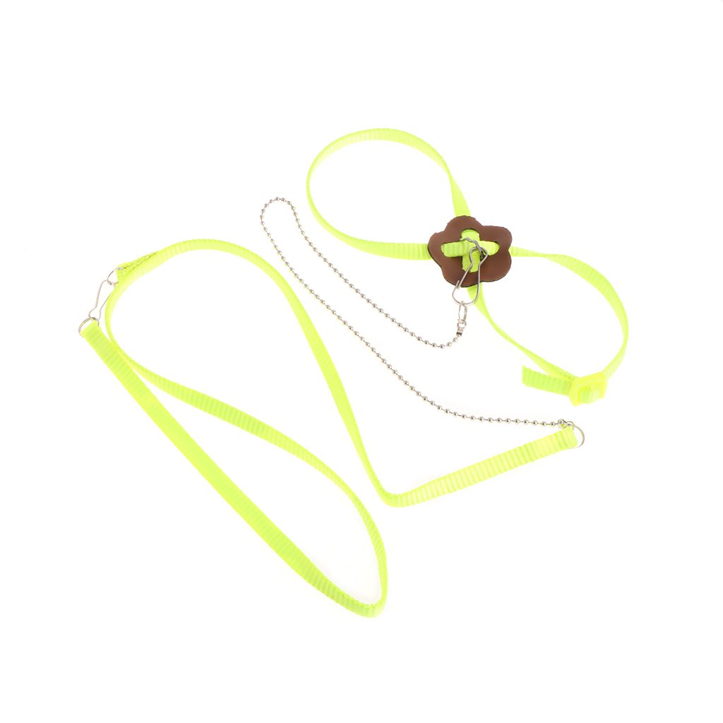 Harnais pour perroquet - Corde de dressage réglable en nylon - Anti-morsure - Pour petits oiseaux, canaris et conures