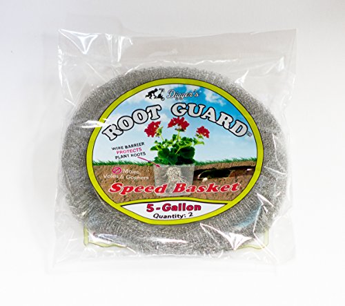 212 Main 24 x 12 x 4 in. Wire Basket - White