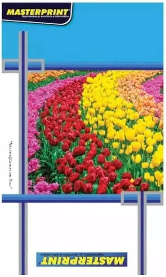 Papel Fotográfico Textura Casca de Ovo A4 200g Master Print 20 Folhas