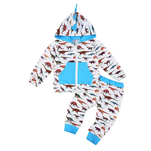 Toddler Infant Baby Boys Clothes Dinosaur Print Long Sleeve Zip Up Hoodie Tops Sweatsuit + Pants Autumn Winter Outfits Set (Dinosaur, 2-3T)