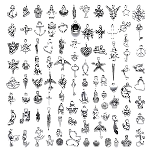 ZOCONE Misti Ciondoli Assortiti, 100 PCS Pendenti