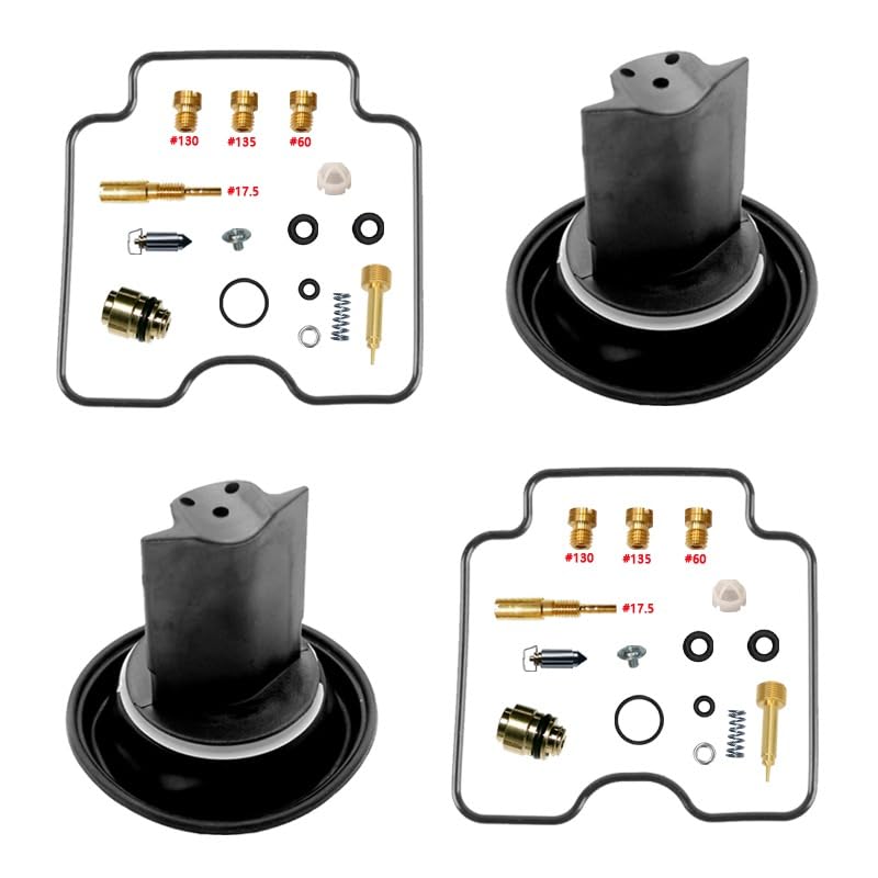 Kit Carburateur GS500F Bicylindre avec Pointeau et Flotteur Ajusté pour Supprimer les Trous d'Air