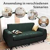 Hamlody Sofa 160cm, 2-Sitzer Sitzbank mit Samt Bezug, Kompakt für kleine Räume | Bequem & Einfach Montiert | 42cm hochelastischer Schaumstoff, Grün