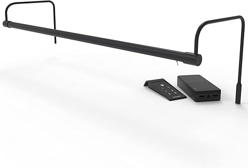 Cocoweb Luz artística que funciona con pilas en bronce aceitado, 30 pulgadas, batería recargable incluida, LED, control remoto, regulable