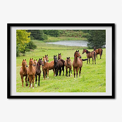 Troupeau de chevaux tableau décoratif 70x50 pour habiller un mur