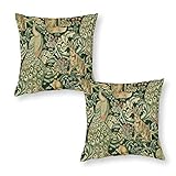 RURALS Set of 2 Green Forest Animals,Peacocks, Fox and Hare Decorative Pillow Covers 18x18 Inch Cozy