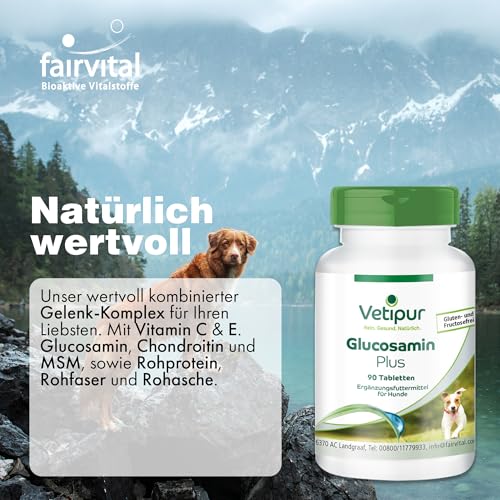 Vetipur Glucosamin Plus - Gelenktabletten - 90 Tabletten - Futterergänzung für Hunde - Glucosamin + Chondroitin + MSM + Vitamin C & Vitamin E