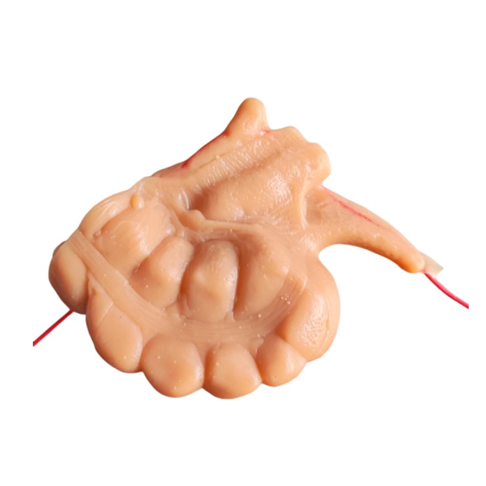 YRQMGSF Silicone Laparoscopic Simulation Pad Laparoscopic Simulation Training Model for Training to Medical Student Doctor Nurse Teaching,Appendix,12cm
