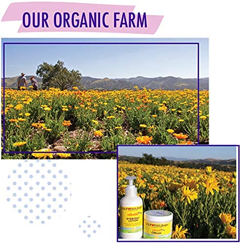 California Baby Eucalyptus Ease Hair Conditioner | Plant-Based | Softens & Detangles Hair | Allergy-Friendly | Babies, Adults & Kids Conditioner For Dry & Sensitive Skin | 251 Ml / 8.5 Fl. Oz. (Pack Of 2) #TOP4