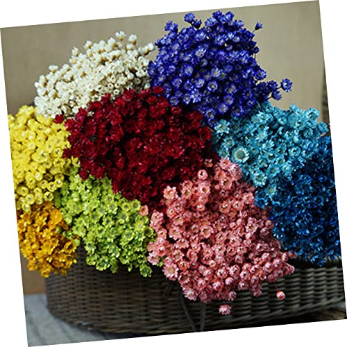 30 flores secas Daisy preservadas para decoración miniatura 3
