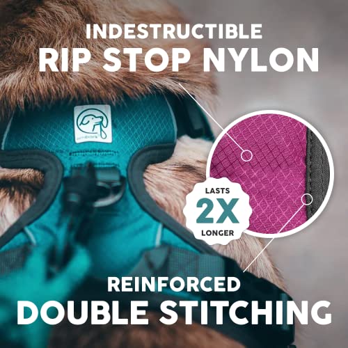 Embark Urban Dog Imbracatura per Cani