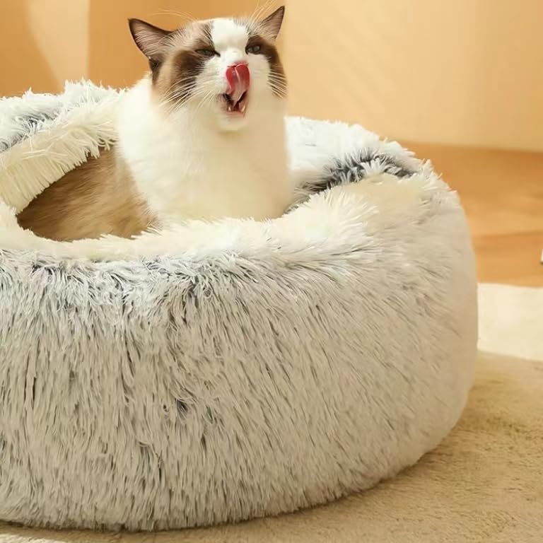 Beds for Small Dogs - Image 4