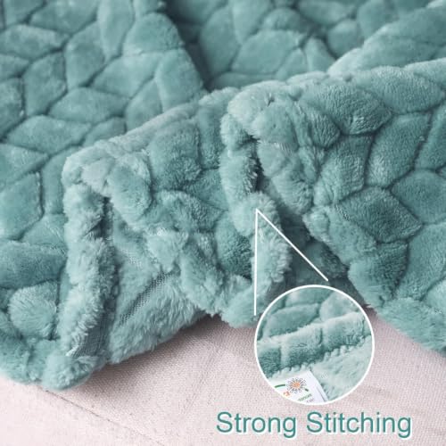 Image of Exclusivo Mezcla Fleece Throw Blanket for Couch Sofa, 50 inchx70 inch, Celadon