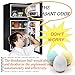 Refrigerator Odor Deodorizer Ball,Fishy Musty Odor Moisture Remover Absorber Eliminator Neutralizer,Air Freshener Purifier ,Natural Non-chemical,Black