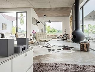 Denon SCN10 Haut-parleurs HiFi bidirectionnels pour système de Son TV 2 x 65 W Compatible avec récepteurs et amplificateurs Design élégant Gris